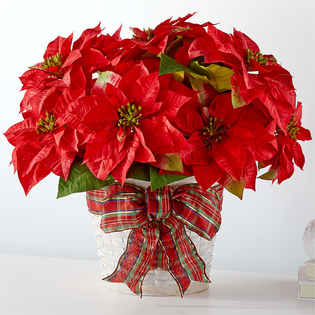 Happiest Holidays Poinsettia – PASSMORE'S FLOWERS, Brantford ON