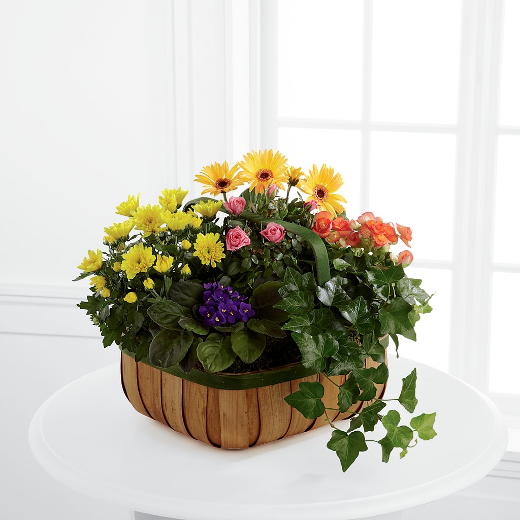 Gentle Blossoms Basket – PASSMORE'S FLOWERS, Brantford ON