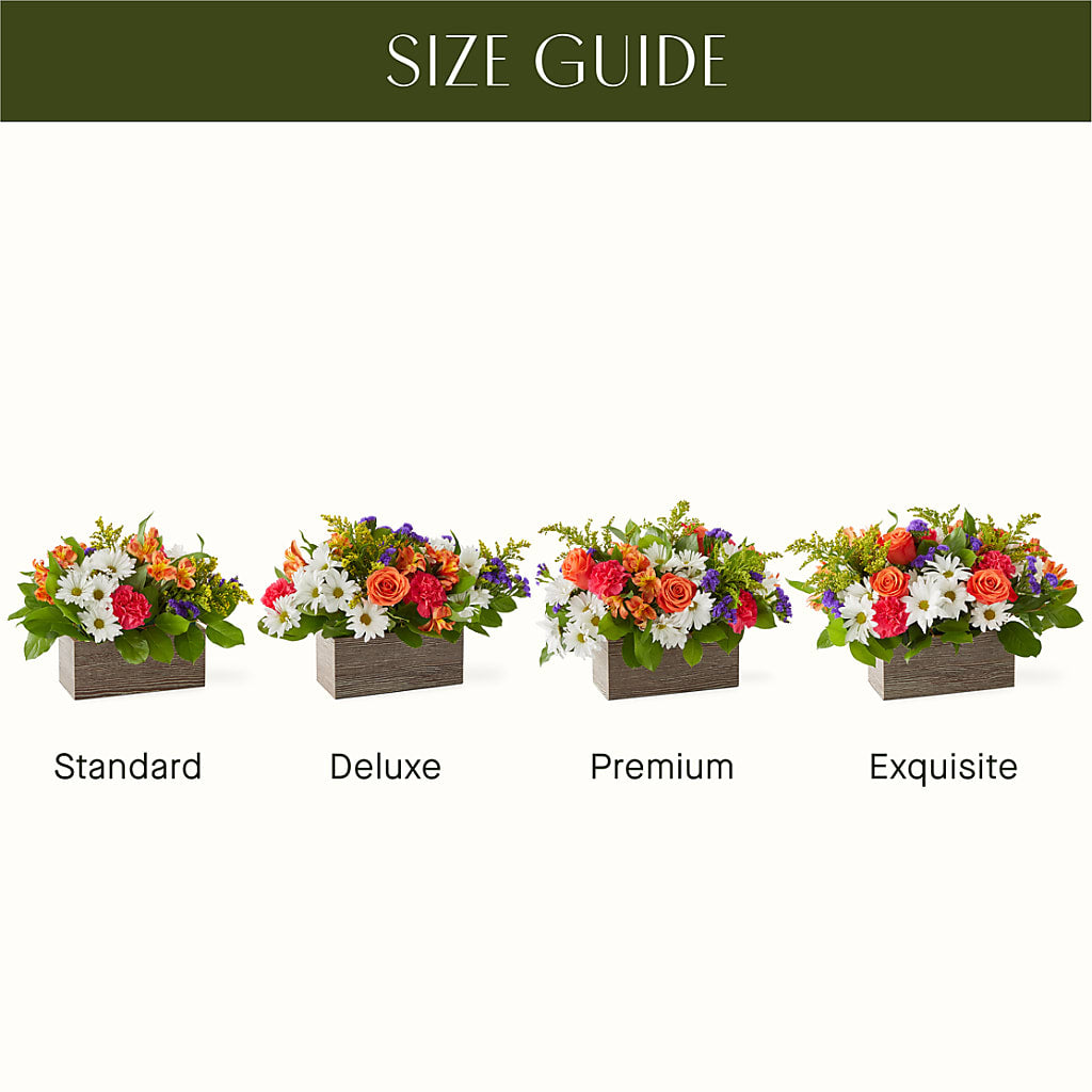 Oopsie Daisy Box Bouquet – PASSMORE'S FLOWERS, Brantford ON