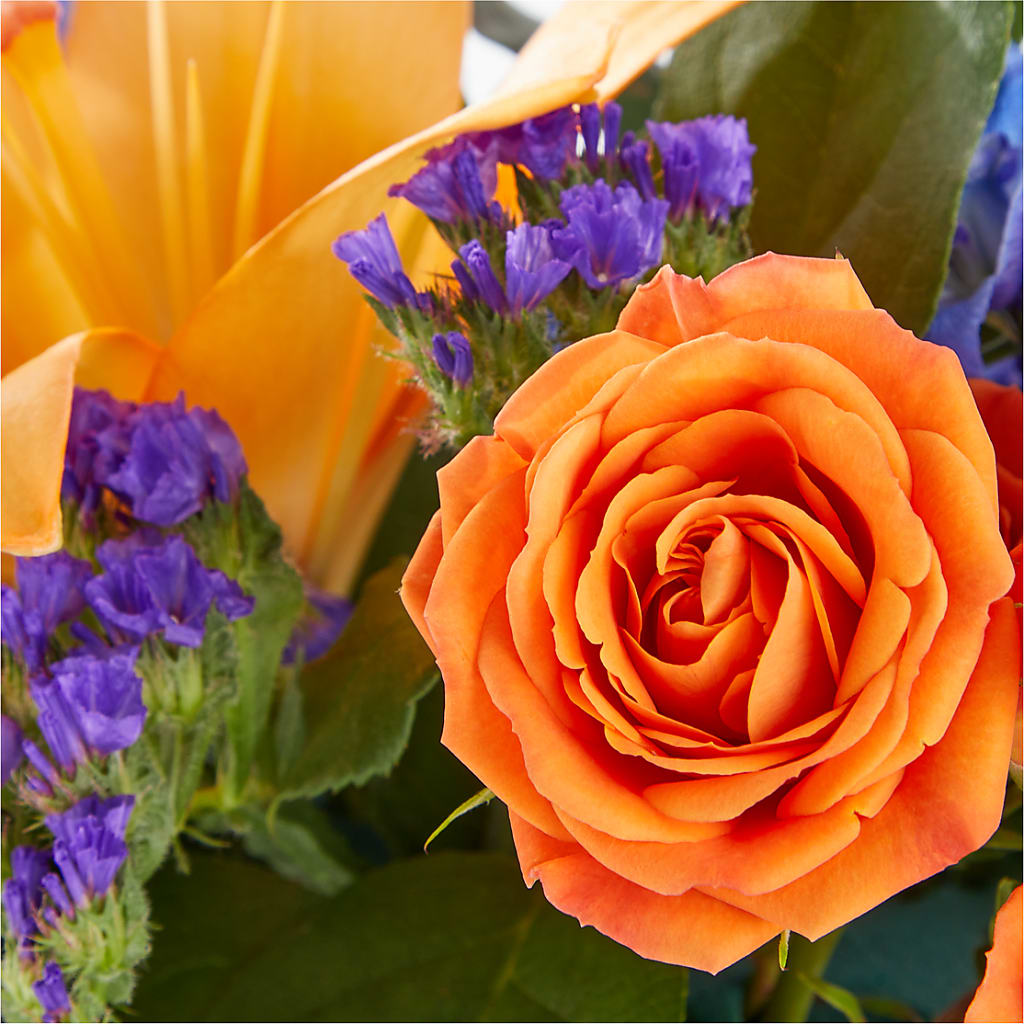 Radiant Citrus Box Bouquet – PASSMORE'S FLOWERS, Brantford ON