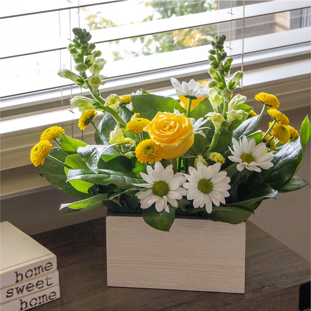 Sun Salutation Box Bouquet – PASSMORE'S FLOWERS, Brantford ON
