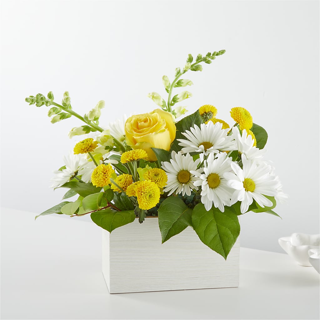 Sun Salutation Box Bouquet – PASSMORE'S FLOWERS, Brantford ON