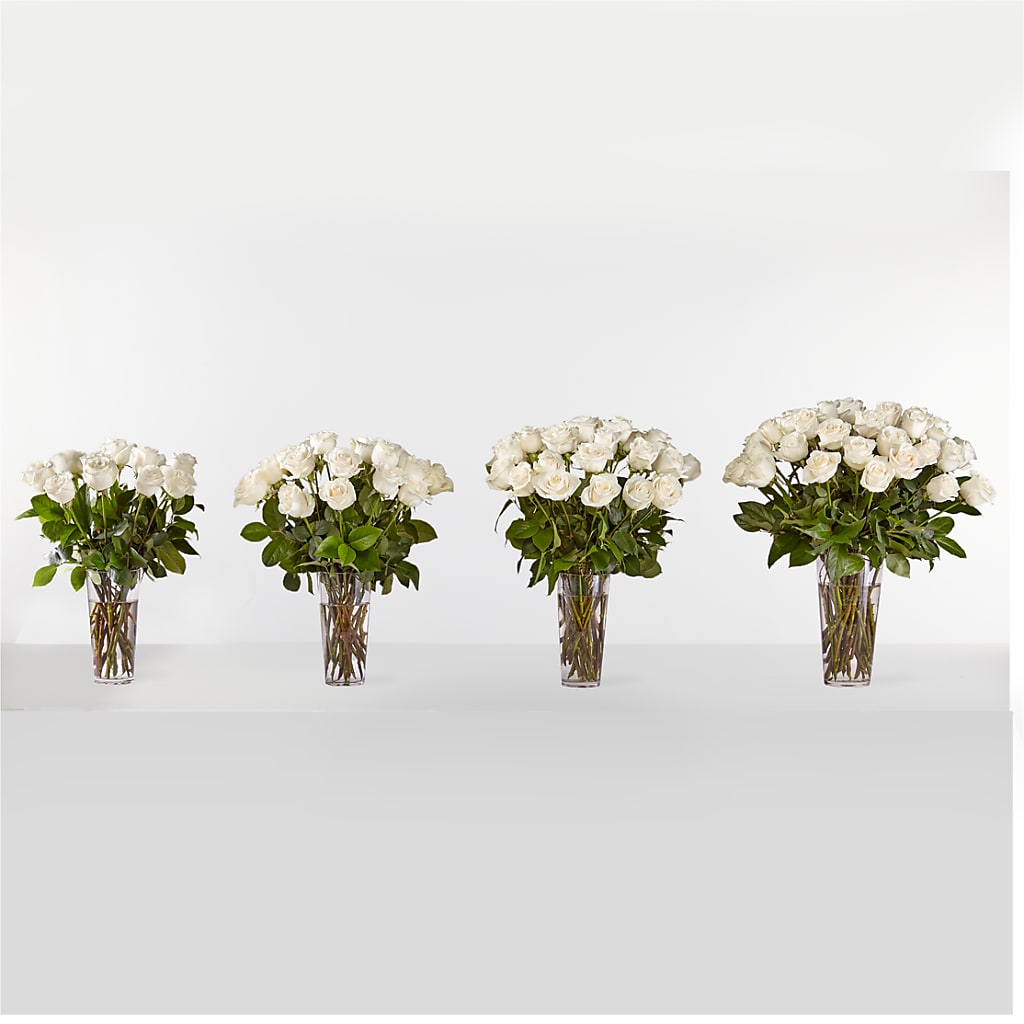 Long Stem White Rose Bouquet – PASSMORE'S FLOWERS, Brantford ON