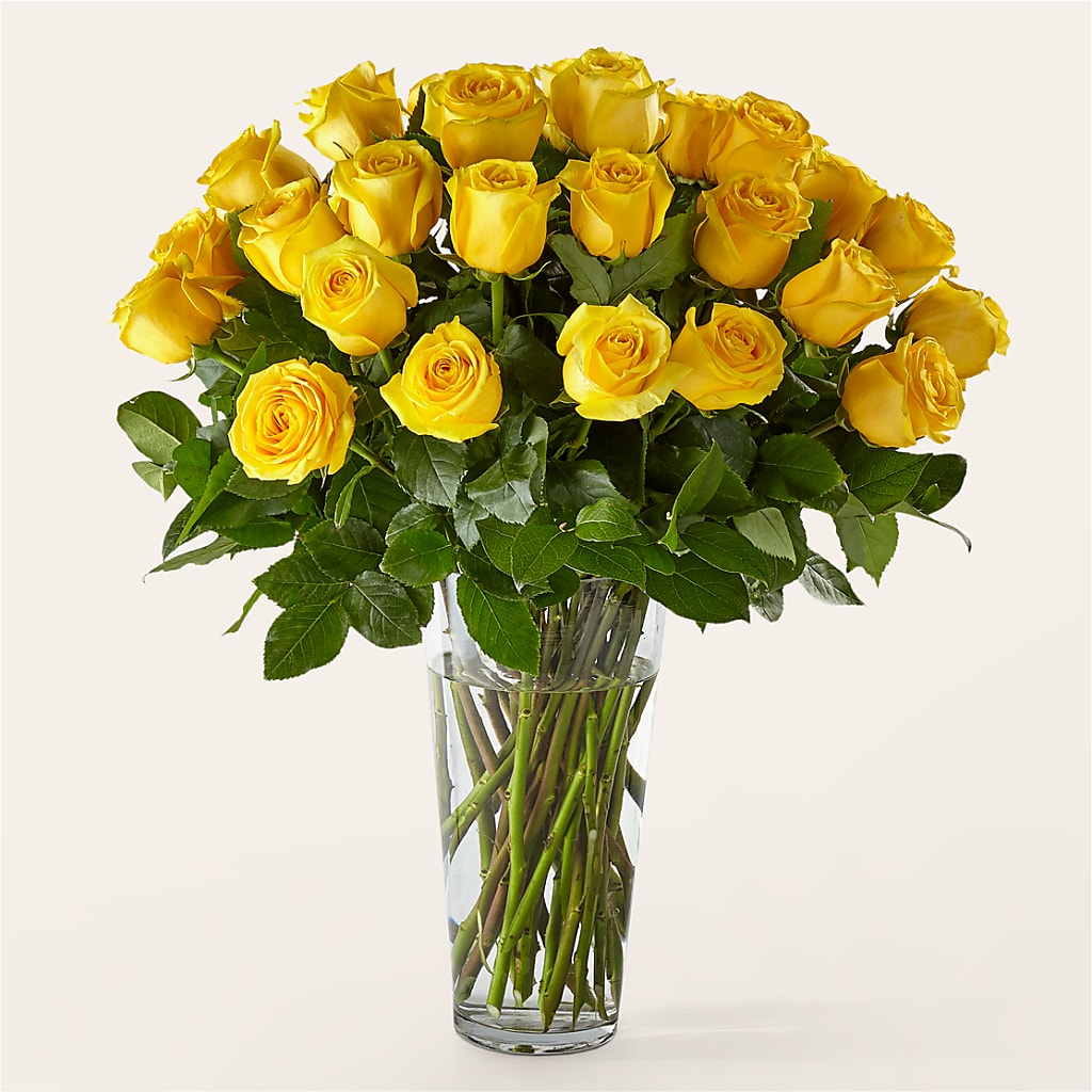 Long Stem Yellow Rose Bouquet – PASSMORE'S FLOWERS, Brantford ON