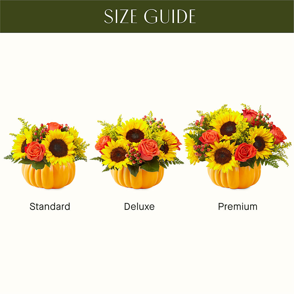 Pick of the Patch Pumpkin Bouquet – PASSMORE'S FLOWERS, Brantford ON