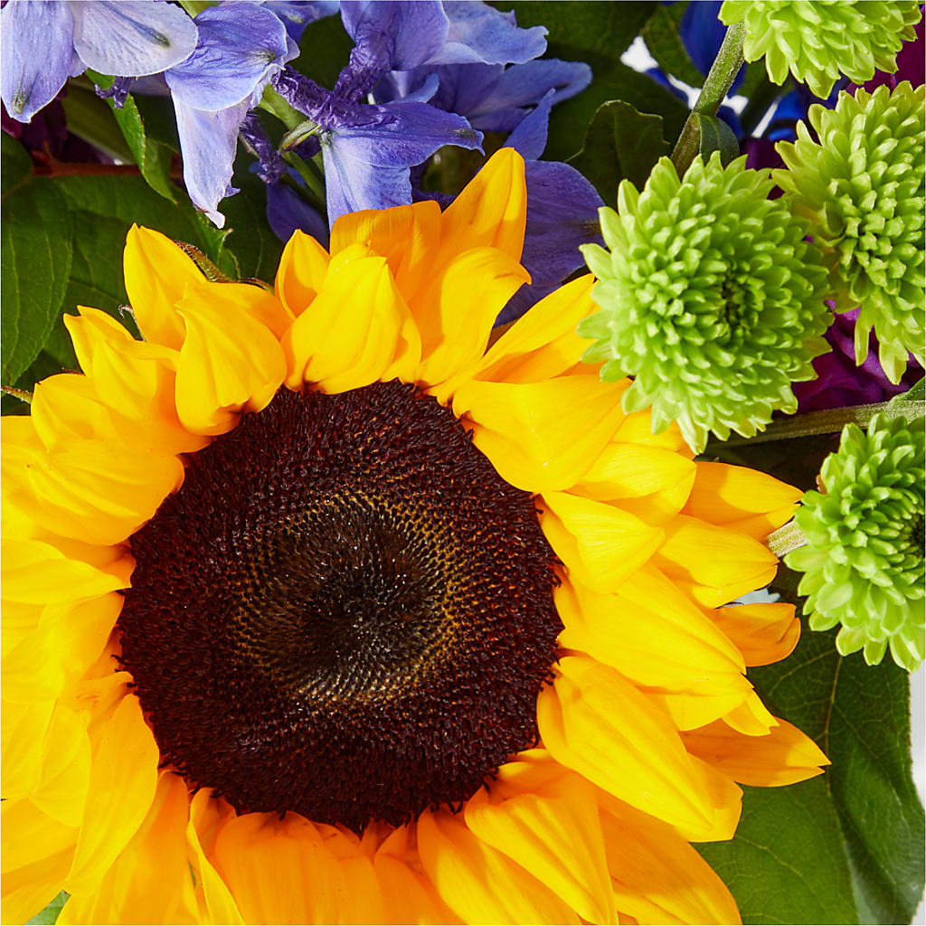 Catching Rays Bouquet – PASSMORE'S FLOWERS, Brantford ON