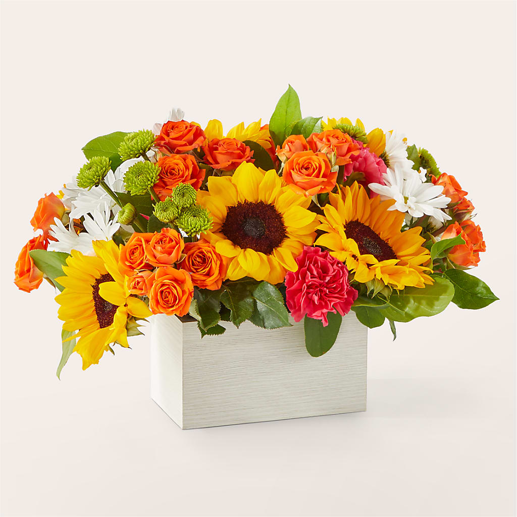 Sun-drenched Blooms Box Bouquet – PASSMORE'S FLOWERS, Brantford ON