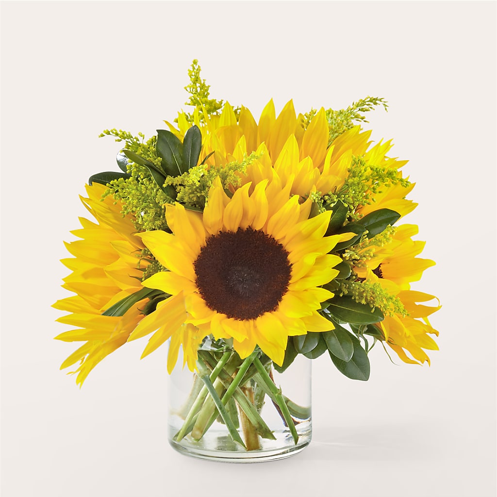 Beaming Sunflower Bouquet – PASSMORE'S FLOWERS, Brantford ON