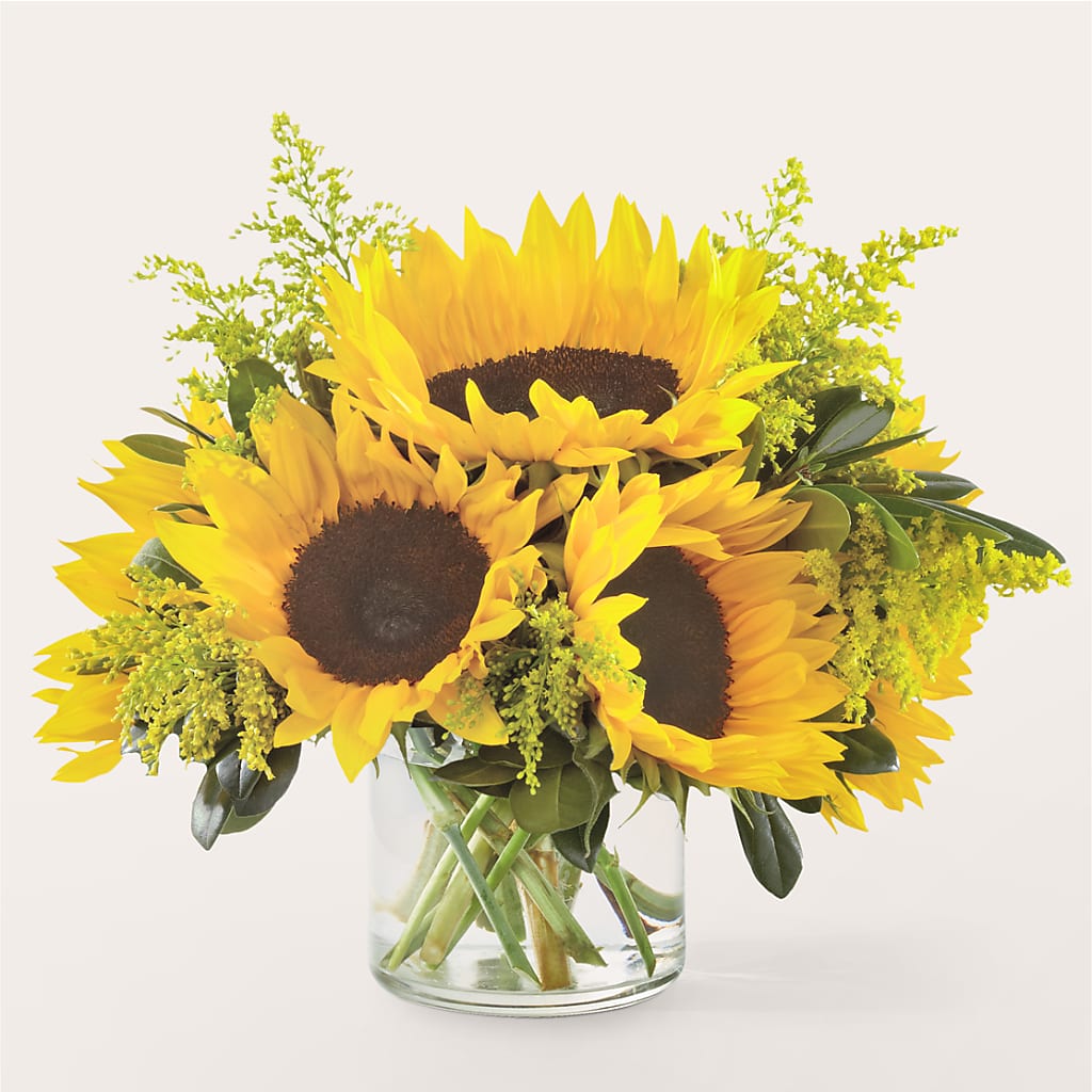 Beaming Sunflower Bouquet – PASSMORE'S FLOWERS, Brantford ON