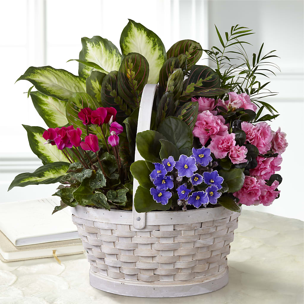 Peaceful Garden Planter – PASSMORE'S FLOWERS, Brantford ON