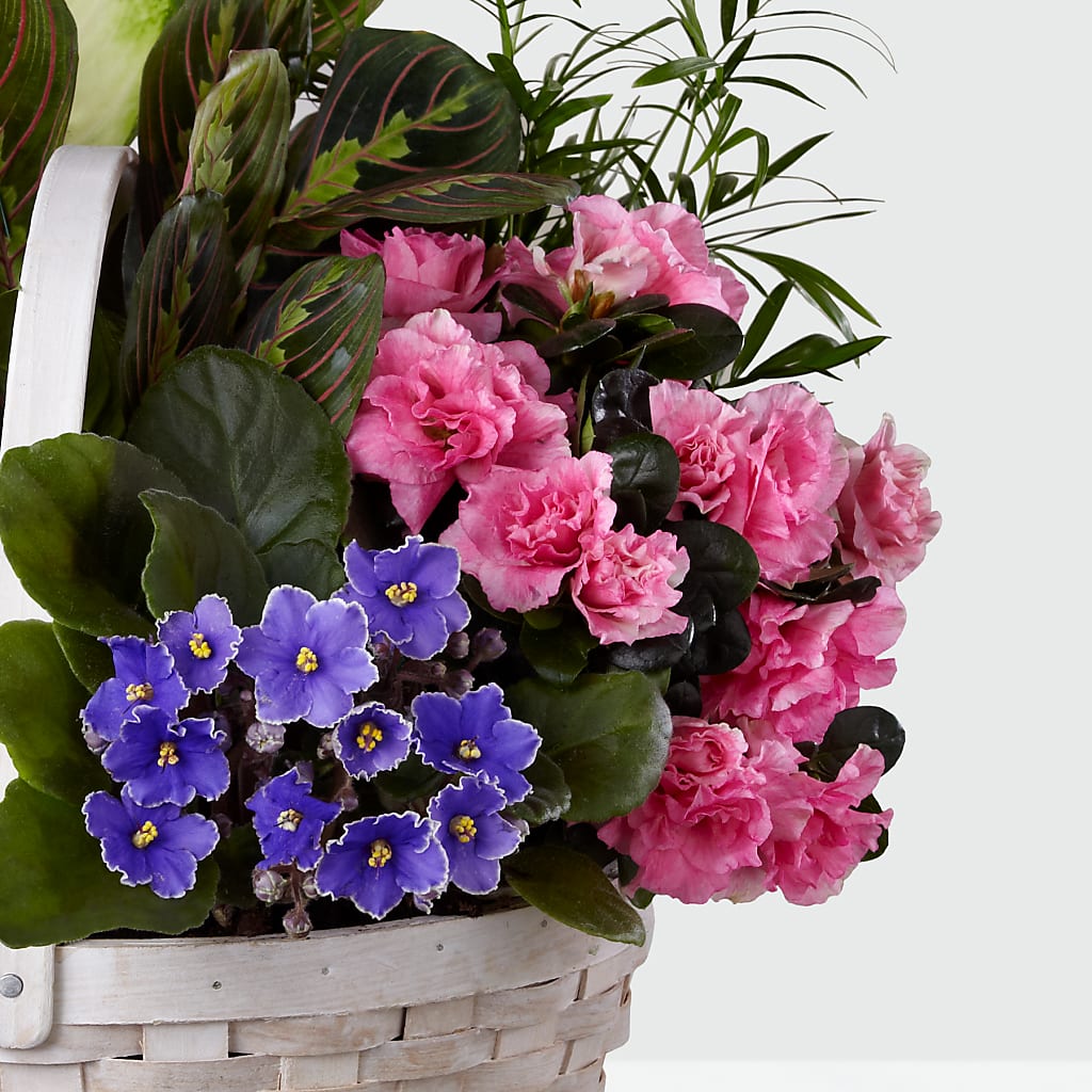 Peaceful Garden Planter – PASSMORE'S FLOWERS, Brantford ON