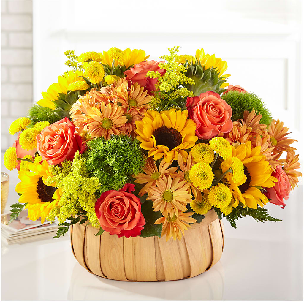 Harvest Sunflower Basket – PASSMORE'S FLOWERS, Brantford ON