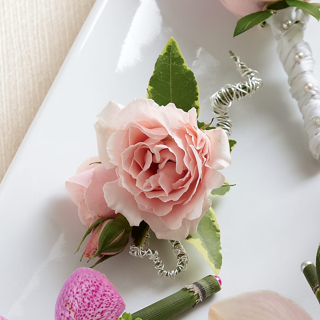Pink Spray Rose Boutonniere – PASSMORE'S FLOWERS, Brantford ON