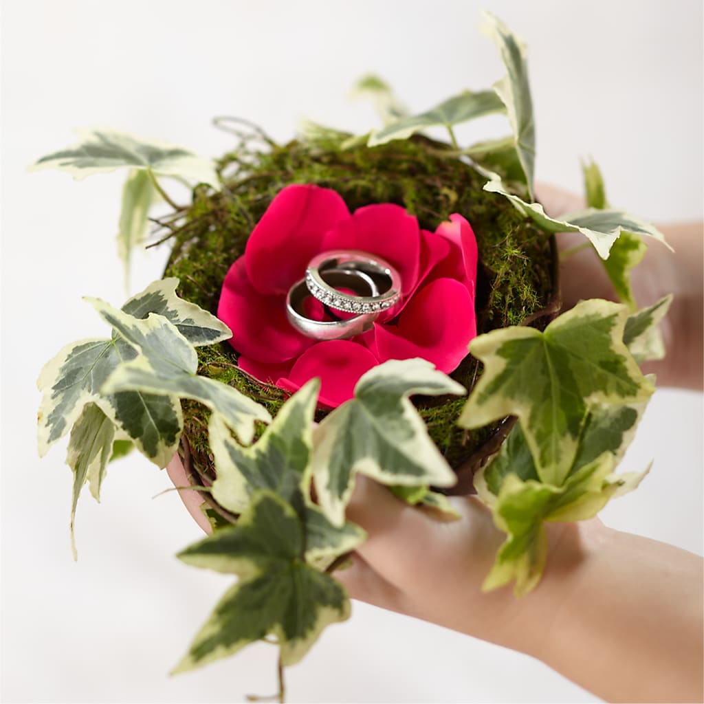 Lila Rose Ring Nest – PASSMORE'S FLOWERS, Brantford ON