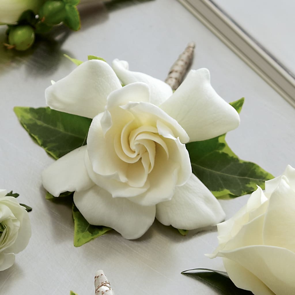 Gardenia Boutonniere – PASSMORE'S FLOWERS, Brantford ON