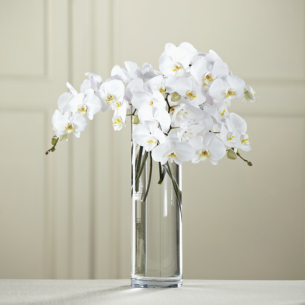 White Phalaenopsis Bouquet – PASSMORE'S FLOWERS, Brantford ON