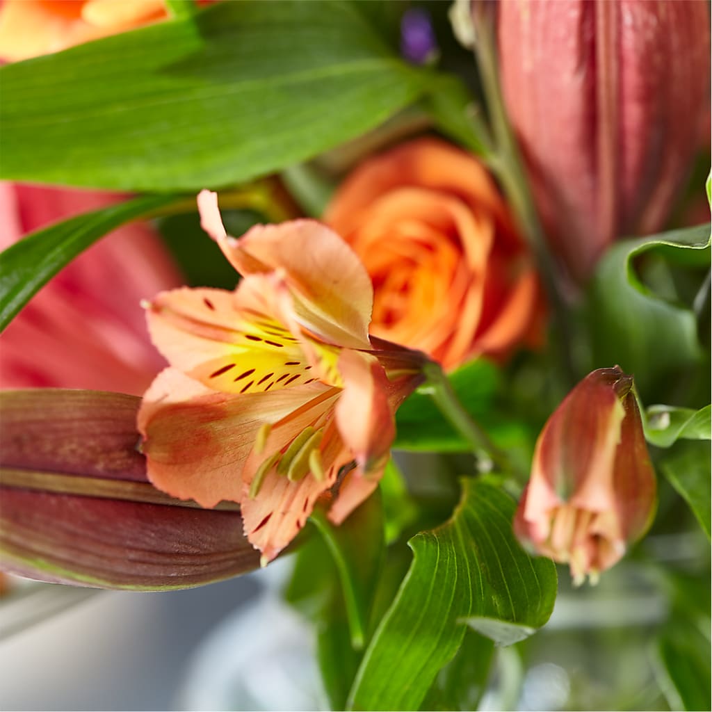 Bold & Bright – A Florist Original – PASSMORE'S FLOWERS, Brantford ON