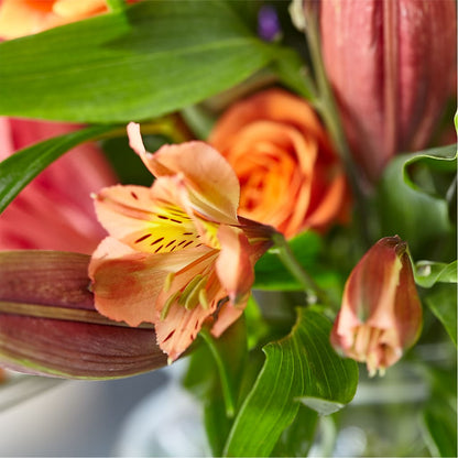 Bold & Bright – A Florist Original – PASSMORE'S FLOWERS, Brantford ON
