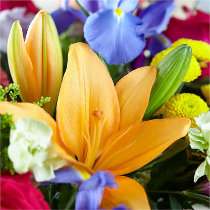 Bold & Bright – A Florist Original – PASSMORE'S FLOWERS, Brantford ON