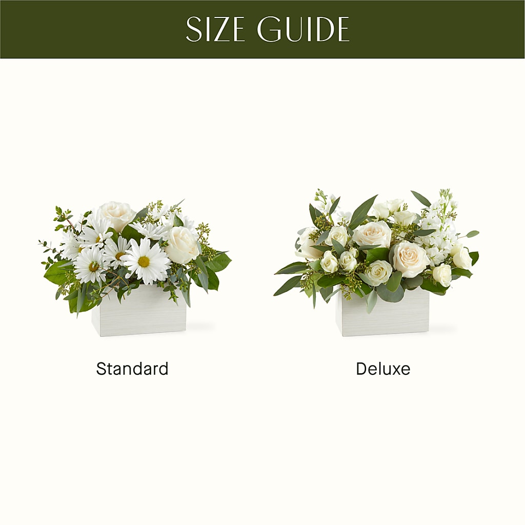 Fresh Linen Box Bouquet – PASSMORE'S FLOWERS, Brantford ON
