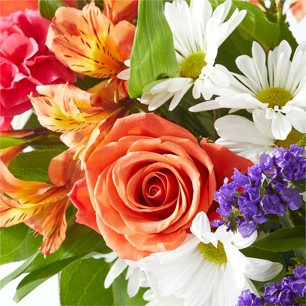 Oopsie Daisy Box Bouquet – PASSMORE'S FLOWERS, Brantford ON