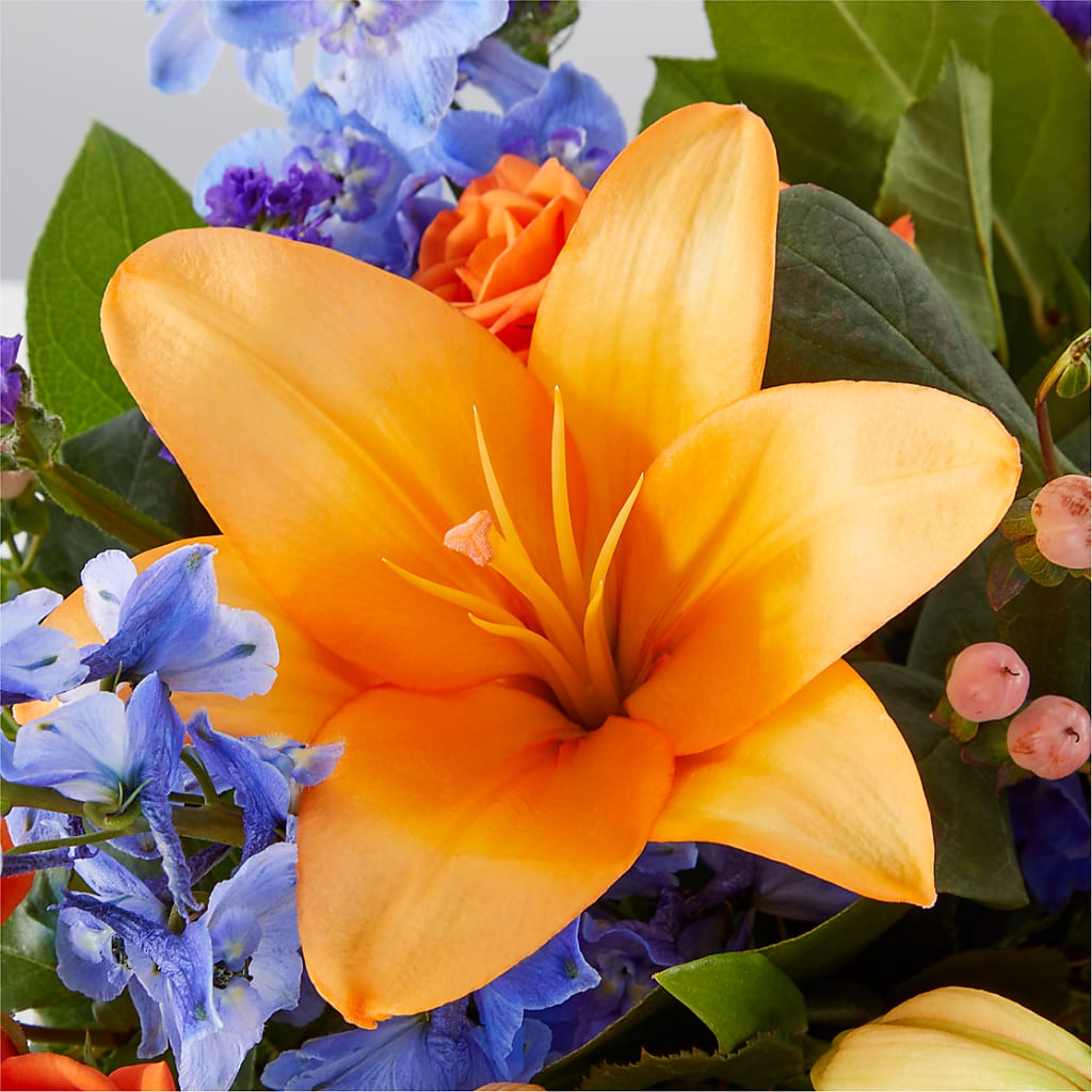 Radiant Citrus Box Bouquet – PASSMORE'S FLOWERS, Brantford ON