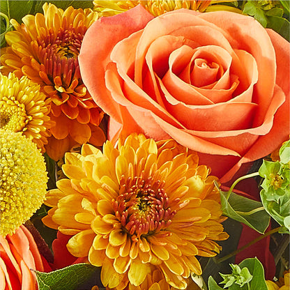 Gourdgeous Pumpkin – PASSMORE'S FLOWERS, Brantford ON
