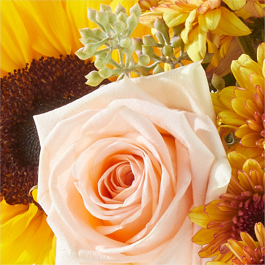 Pumpkin to Talk About Bouquet – PASSMORE'S FLOWERS, Brantford ON