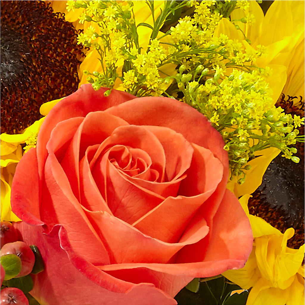 Pick of the Patch Pumpkin Bouquet – PASSMORE'S FLOWERS, Brantford ON