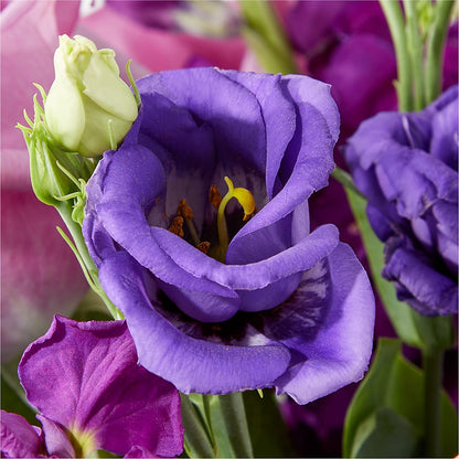 Twilight Glow Bouquet – PASSMORE'S FLOWERS, Brantford ON