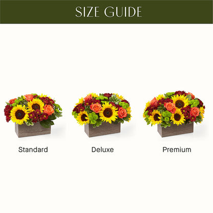Happy Harvest Garden – PASSMORE'S FLOWERS, Brantford ON