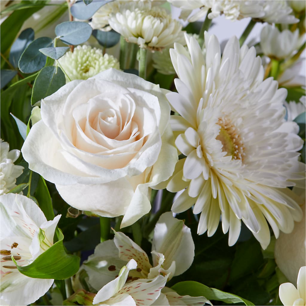New Beginnings – A Florist Original – PASSMORE'S FLOWERS, Brantford ON