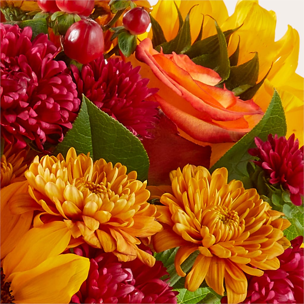Sweater Season - A Florist Original – PASSMORE'S FLOWERS, Brantford ON