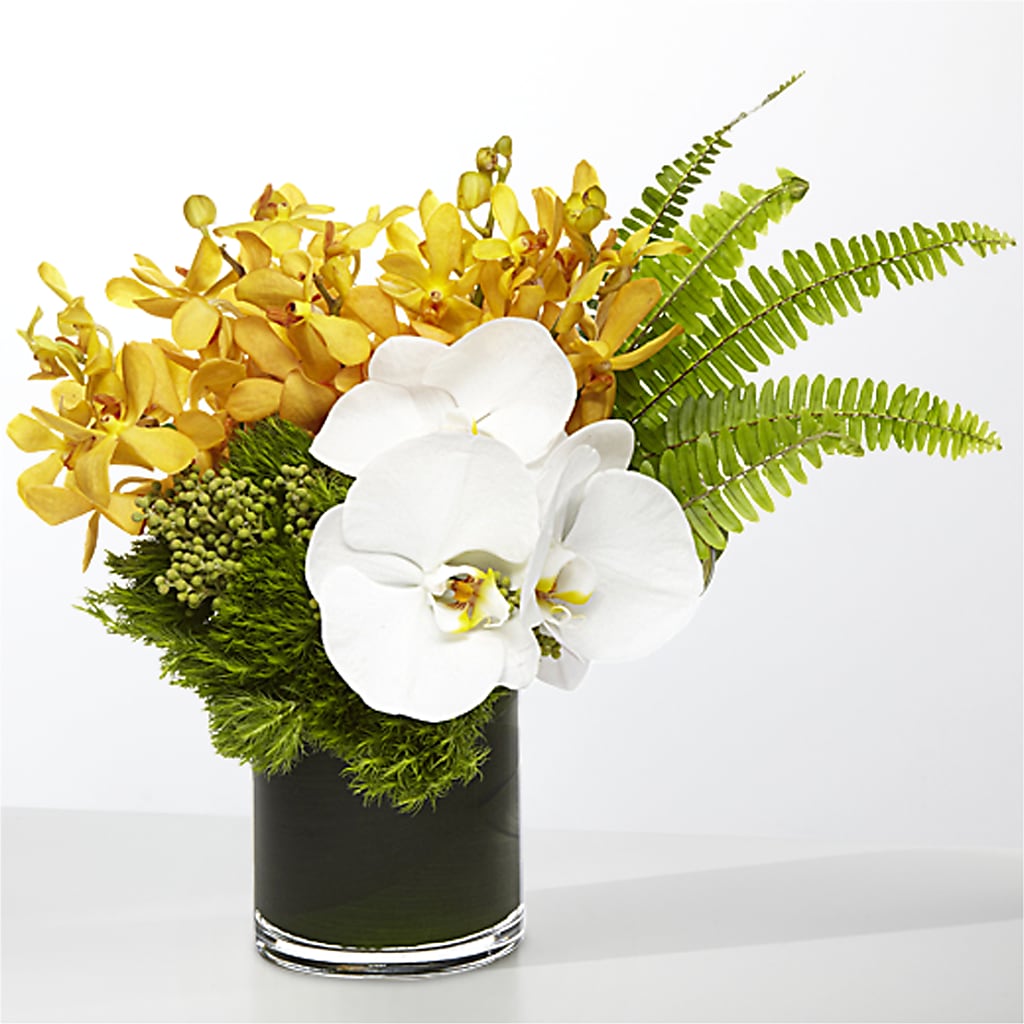 The Tropics – PASSMORE'S FLOWERS, Brantford ON