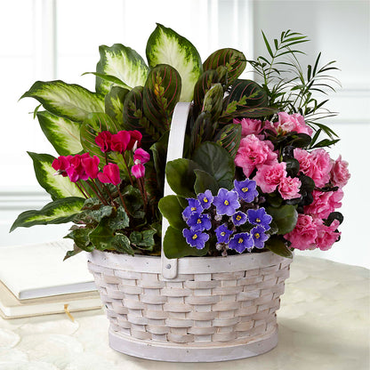 Peaceful Garden Planter – PASSMORE'S FLOWERS, Brantford ON