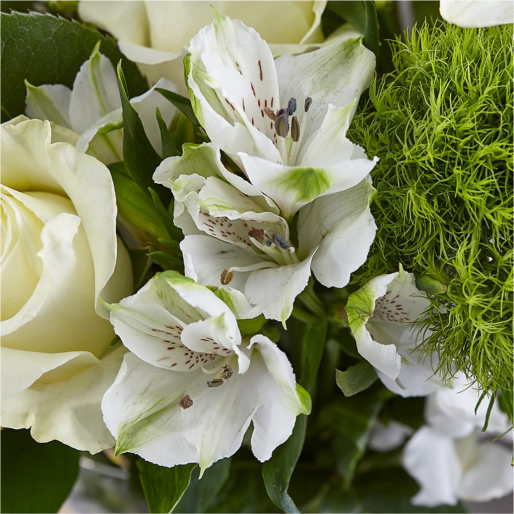Classic Ivory – A Florist Original – PASSMORE'S FLOWERS, Brantford ON