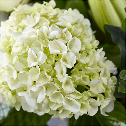 Classic Ivory – A Florist Original – PASSMORE'S FLOWERS, Brantford ON