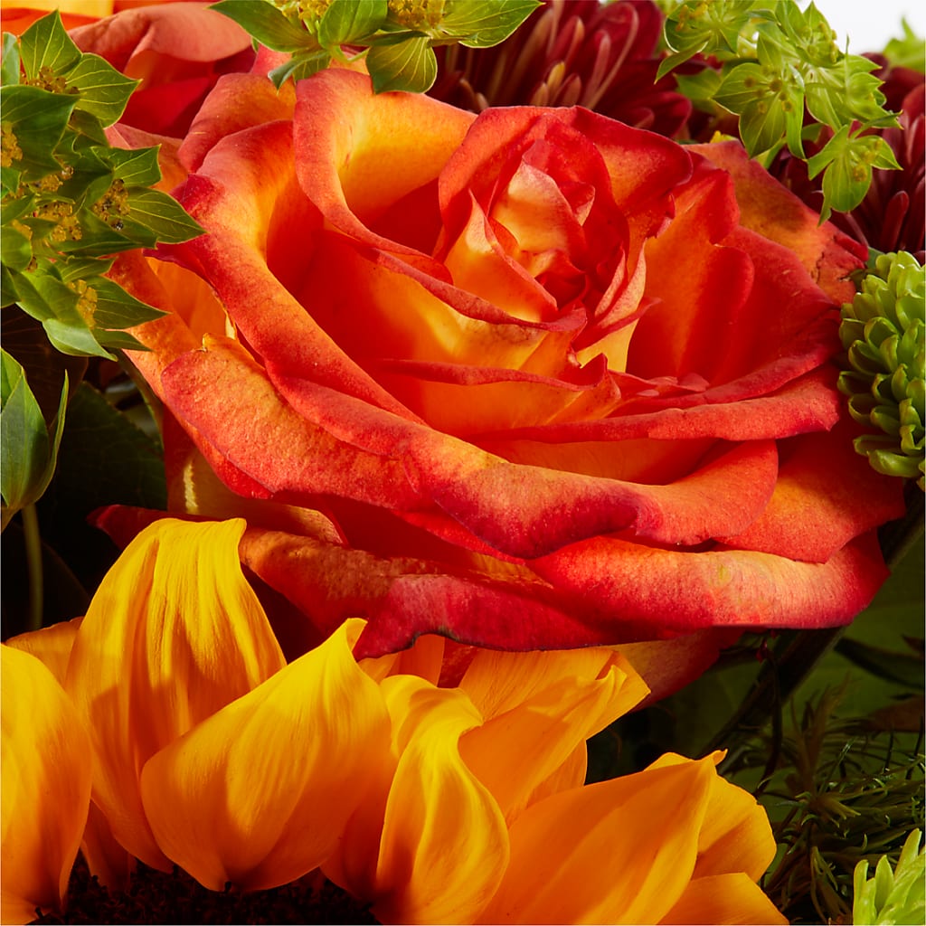 Harvest Festival Bouquet – PASSMORE'S FLOWERS, Brantford ON