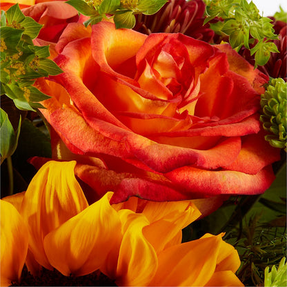Harvest Festival Bouquet – PASSMORE'S FLOWERS, Brantford ON