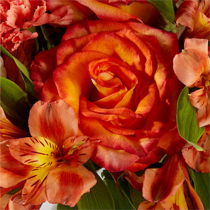 Apricot Glow Bouquet – PASSMORE'S FLOWERS, Brantford ON