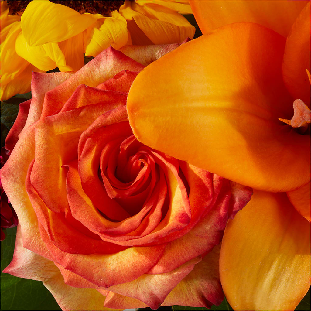 Grateful Centerpiece – PASSMORE'S FLOWERS, Brantford ON