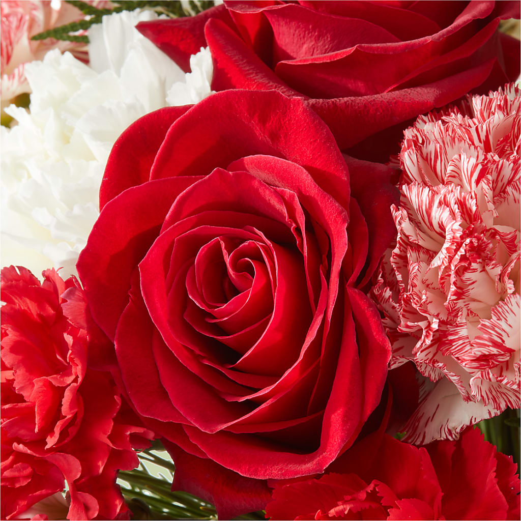 Candy Cane Lane Bouquet – PASSMORE'S FLOWERS, Brantford ON