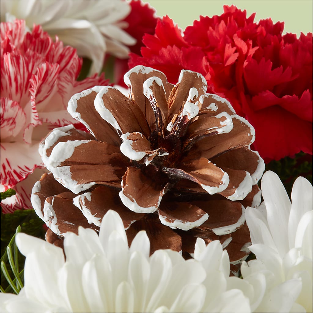Candy Cane Lane Bouquet – PASSMORE'S FLOWERS, Brantford ON