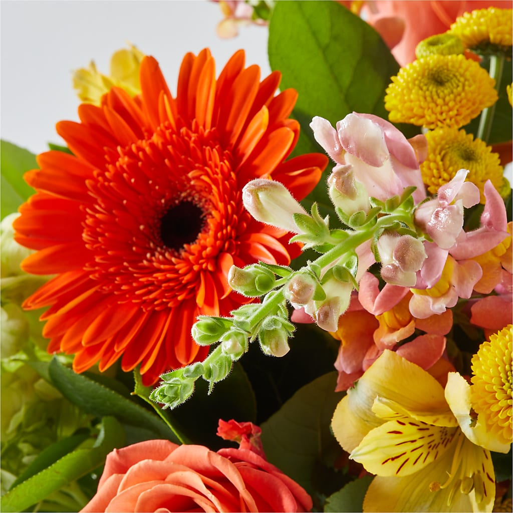 Autumn Sunshine Bouquet – PASSMORE'S FLOWERS, Brantford ON