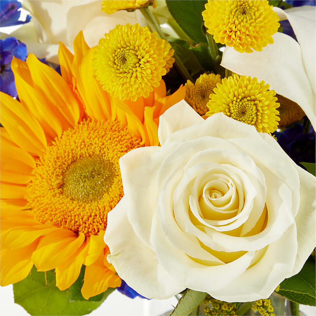 Stargazing Bouquet – PASSMORE'S FLOWERS, Brantford ON