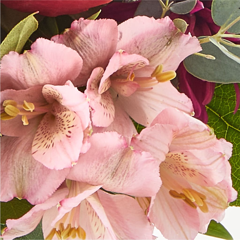 Berry Cobbler Bouquet – PASSMORE'S FLOWERS, Brantford ON