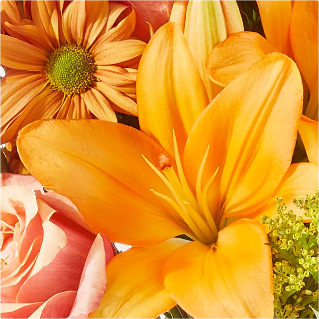 Harvest Hayride Bouquet – PASSMORE'S FLOWERS, Brantford ON