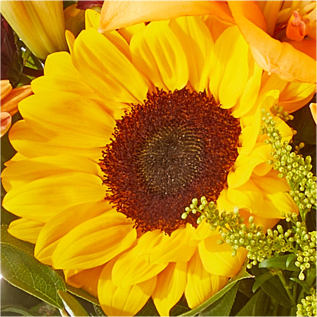 Seasons Change Bouquet – PASSMORE'S FLOWERS, Brantford ON