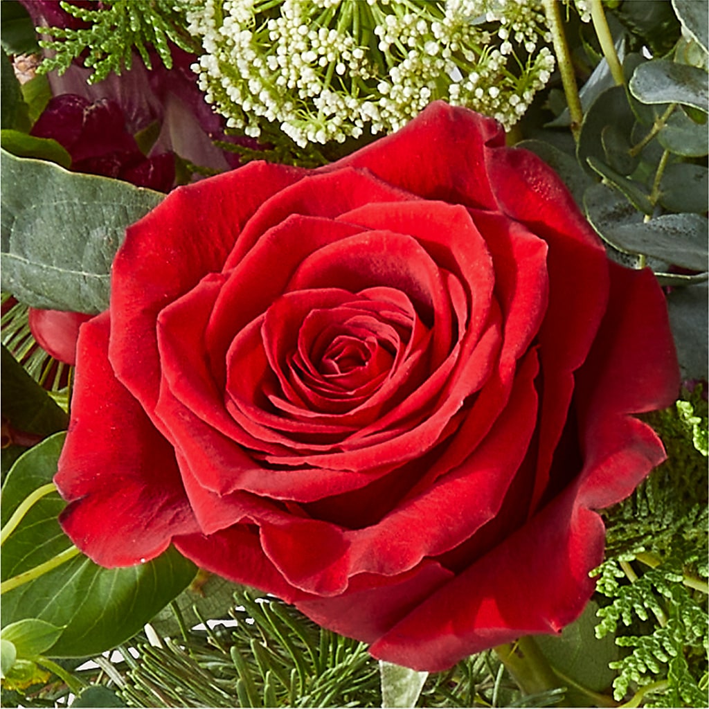 Cranberry Fizz Bouquet – PASSMORE'S FLOWERS, Brantford ON