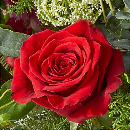 Cranberry Fizz Bouquet – PASSMORE'S FLOWERS, Brantford ON